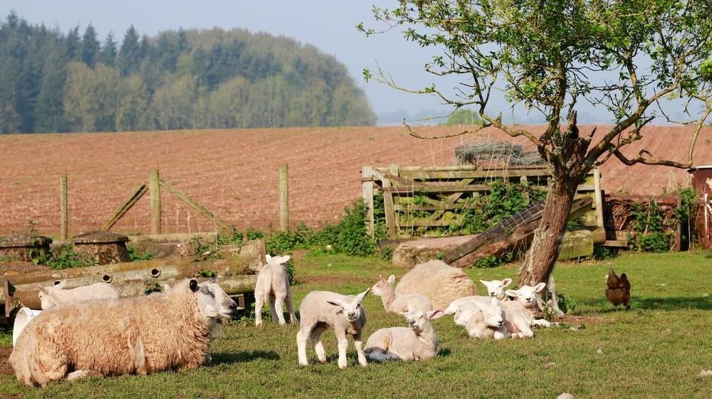 Huntlands Farm Bed & Breakfast Bromyard Esterno foto