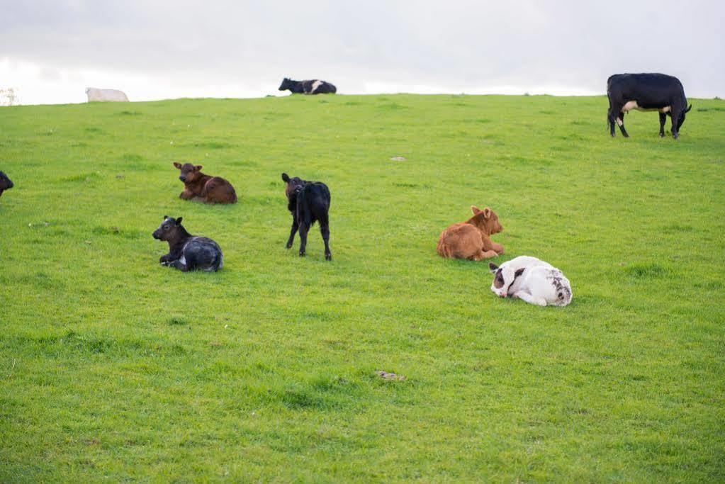 Huntlands Farm Bed & Breakfast Bromyard Esterno foto